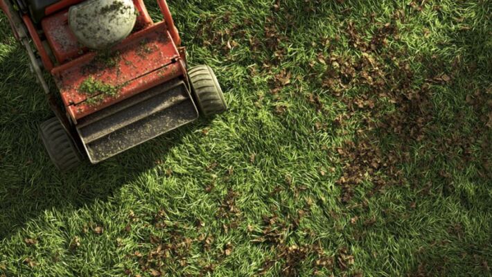 Rasen neu anlegen: Schritt für Schritt mit den richtigen Tipps zur schönen Rasenfläche - Rasen neu anlegen – Anleitung &amp;amp; Tipps zur Rasenpflege