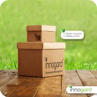 innogard Rasenkante schmal Galvalume AZ®100 x 0,1 cm - Höhe: 18 cm