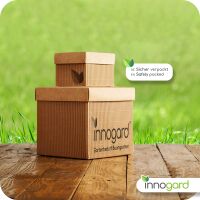 innogard Rasenkantenband Corten 15 x 0,1 cm