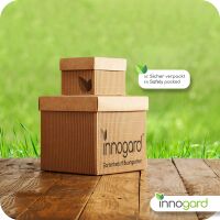 innogard Rasenkantenband Galvalume AZ® 20 x 0,1 cm