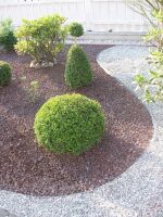 SET: Rasenkante schmal "Klick-Fix" Alu-Zink 100 x 0,06 cm - Höhe: 14 cm