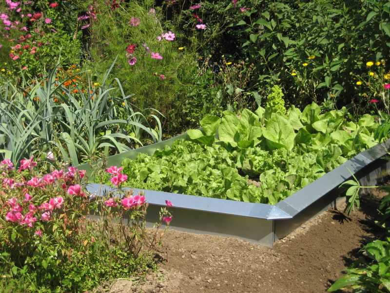 Schneckenblech - Wirkungsweise